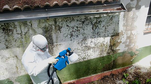Top rated local Commercial Mold Remediation specialists in Port Royal, PA